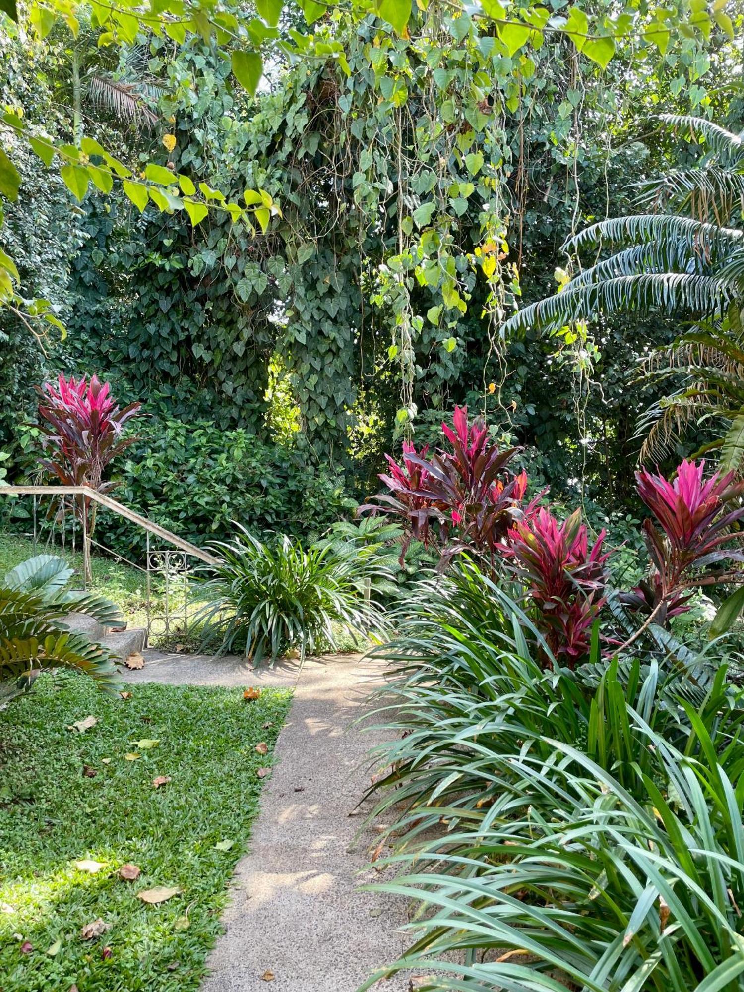 Hotel Babinda Quarters Exterior foto